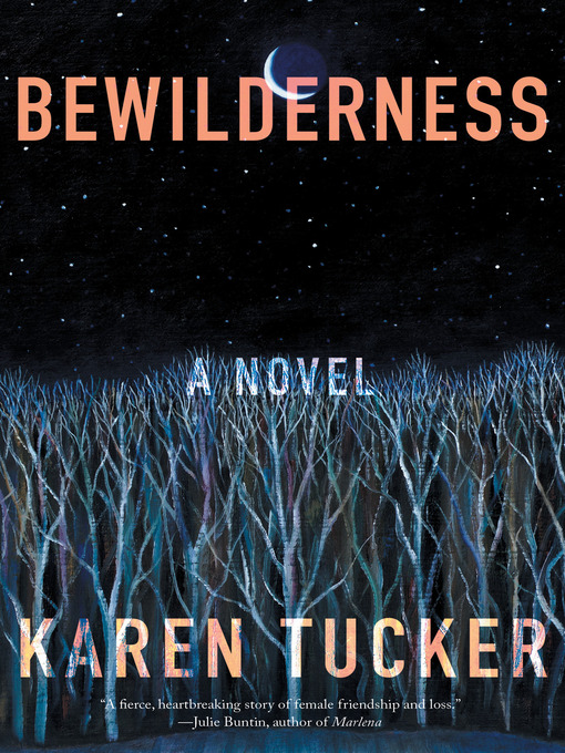 Cover image for Bewilderness